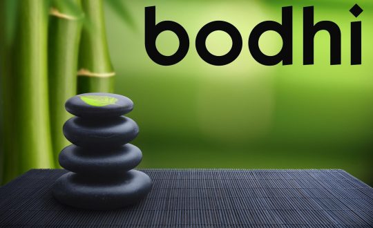 Bodhi Linux