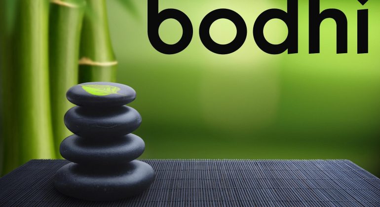 Bodhi Linux