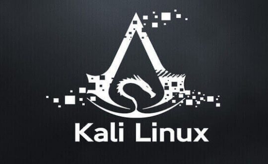 Kali-Linux-Installation-Guide